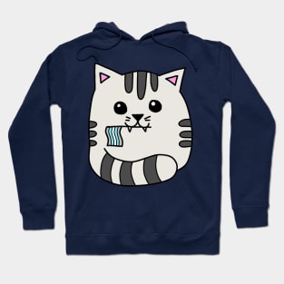 demiboy pride flag cat Hoodie